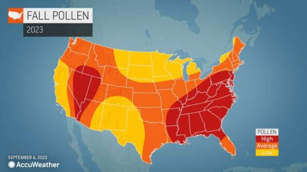 Fall allergy forecast calls for a bad season for over a dozen states