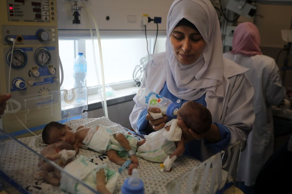 31 premature babies evacuated from Al-Shifa Hospital as WHO calls facility a 'death zone'