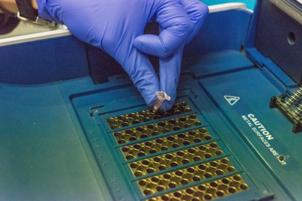 Genetic testing can determine if high cholesterol is inherited, study says