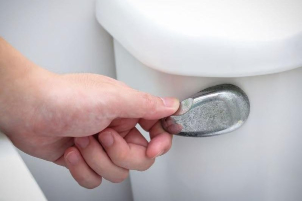 Closing toilet lid doesn't stop spread of germs during flush, study finds
