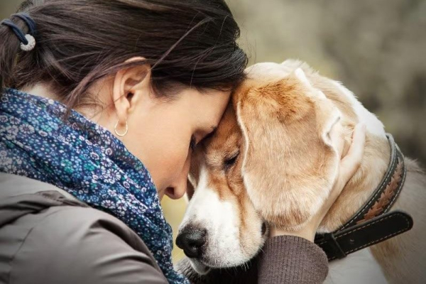 Inability to bring pets may keep people in dangerous situations