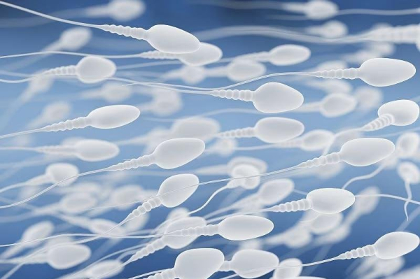 Microbiome in semen may have role in fertility