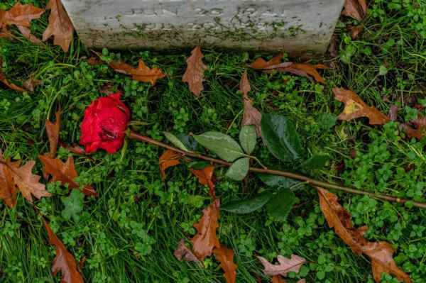 Drug overdose deaths have devastating impact on friends, relatives, study finds Drug overdose deaths have devastating impact on friends, relatives, study finds