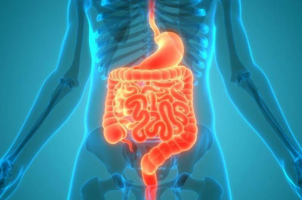 Excess fat around pancreas linked to higher risk for Alzheimer's