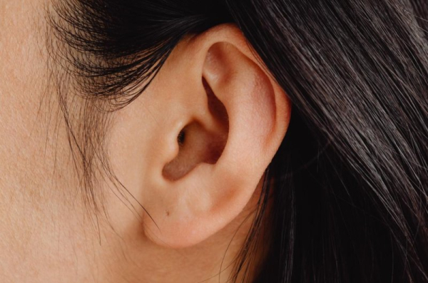 Excess zinc in inner ear linked to noise-related hearing loss