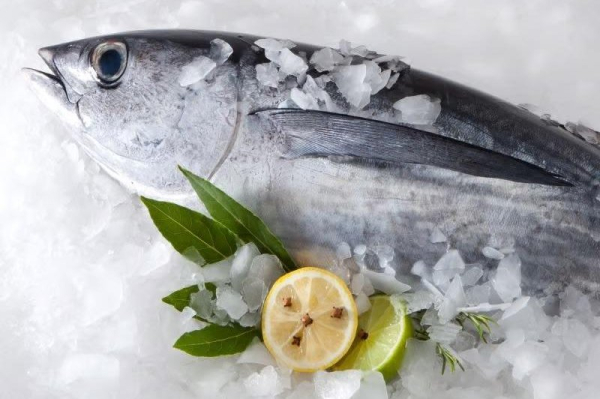 Mercury levels in tuna unchanged since 1971