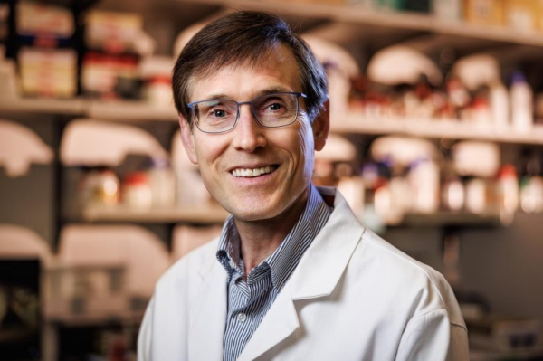 Blood test shows 83% accuracy for detecting colorectal cancer in trial