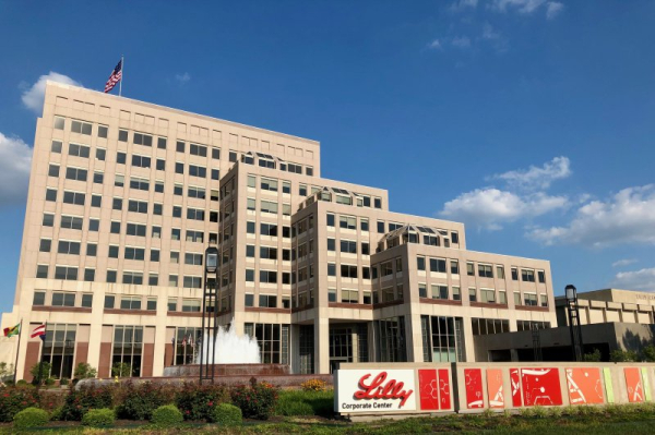 Decision on new Lilly Alzheimer's drug delayed by FDA