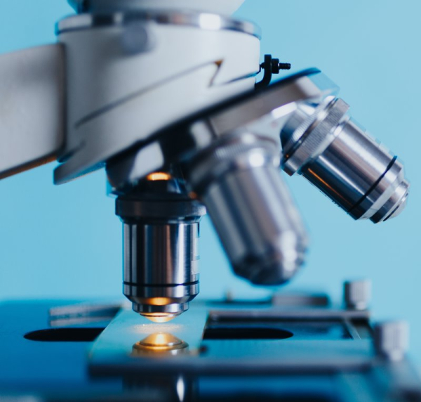 Oral bacteria may speed growth of colon cancers