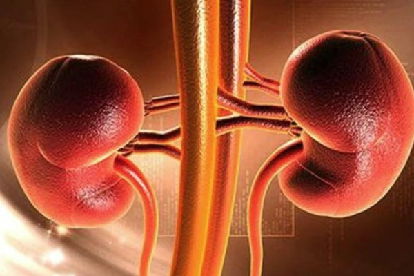 Weight loss can be essential for some who await kidney transplant Weight loss can be essential for some who await kidney transplant