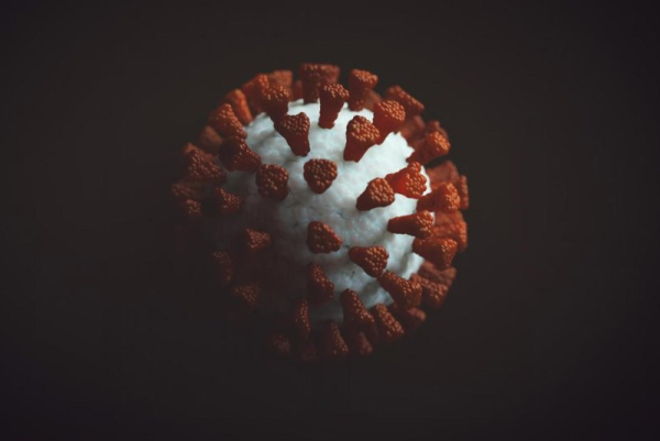 Longest case of COVID-19 was breeding ground for mutations, study shows