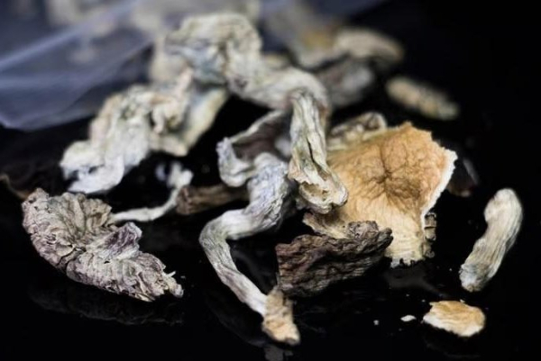 Success of psilocybin for depression linked to relationship with therapist