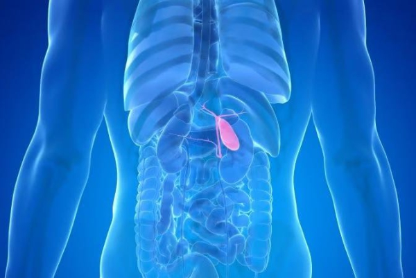 Gallbladder cancer rates rise among Black Americans, remain stable for others