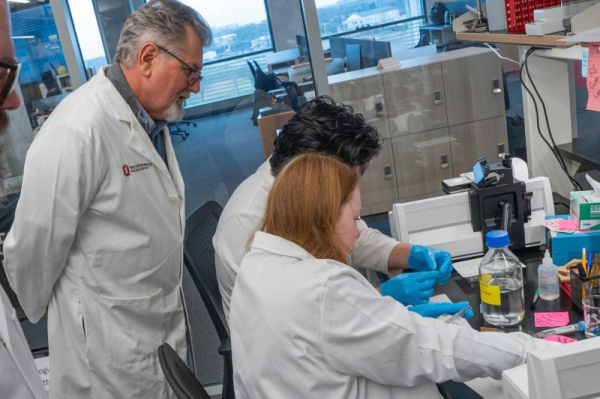 Gene therapy offers huge potential for combating disease, doctors say Gene therapy offers huge potential for combating disease, doctors say