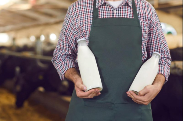 Mice sickened from drinking raw milk carrying bird flu virus