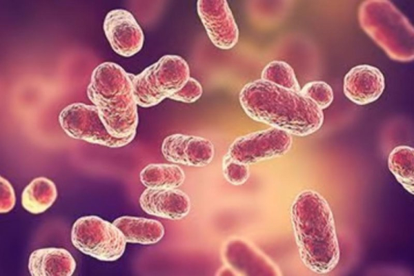 Stem cell treatments in Mexico linked to drug-resistant meningitis, joint infections