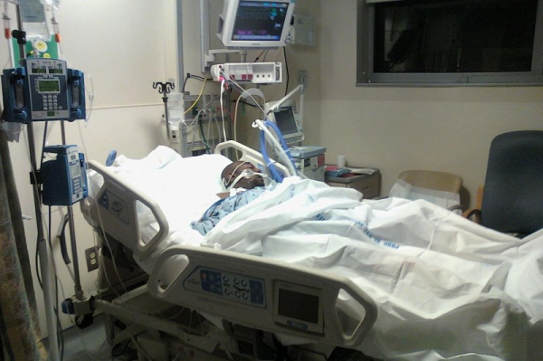 Study: Brain-injured patients who died after life support ended may have recovered