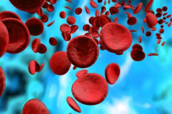 CAR-T cell therapy to treat blood cancers unlikely to increase risk of secondary cancers