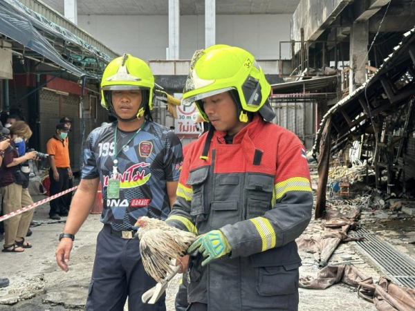Fire tears through Bangkok pet market killing hundreds of animals