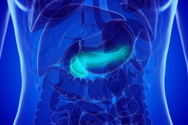 Study: Weight-loss drugs may reduce the risk of acute pancreatitis recurrence Study: Weight-loss drugs may reduce the risk of acute pancreatitis recurrence