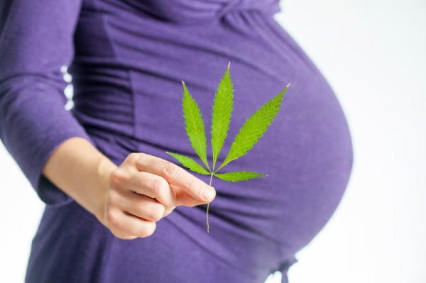 Marijuana use during pregnancy might increase risk of complications Marijuana use during pregnancy might increase risk of complications