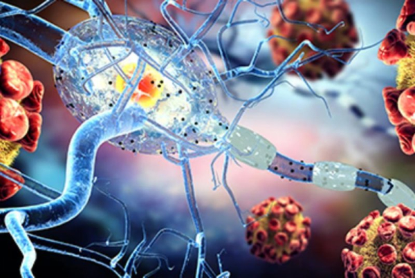 New drug shows promise at sending MS into remission