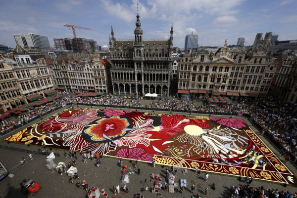 Brussels' biennial 'Flower Carpet' exhibit again blooms in city's central square Brussels' biennial 'Flower Carpet' exhibit again blooms in city's central square