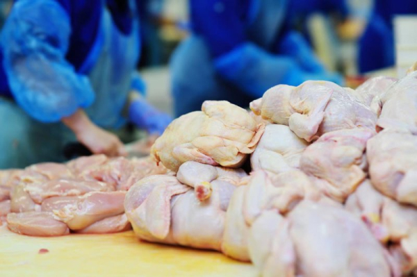 Climate change linked to increased risk of salmonella