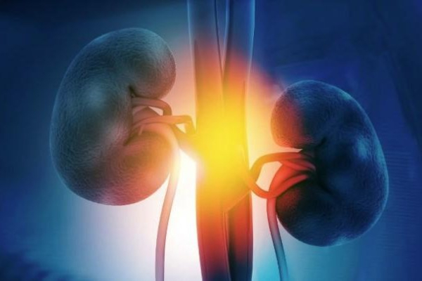 Dialysis not always best choice for seniors with end-stage kidney failure