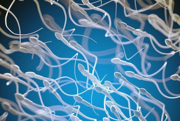 HPV might impair fertility in men