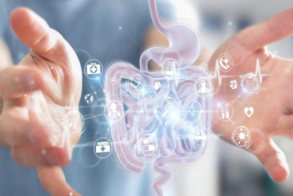 Human gut might be source of powerful new antibiotics