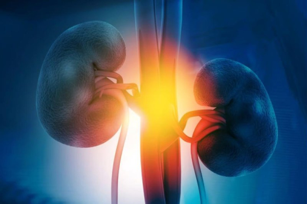 Study: Donating a kidney is safer today than ever before