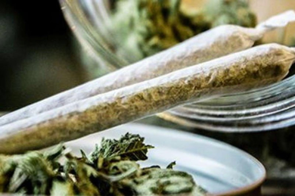 Study links heavy marijuana use with risk of head, neck cancers Study links heavy marijuana use with risk of head, neck cancers