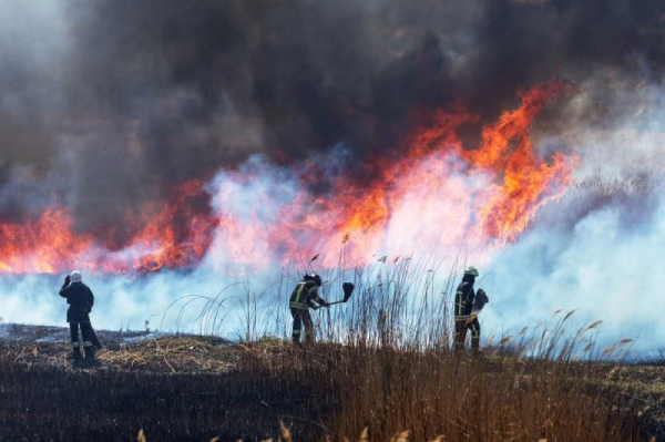 Wildfire smoke might have harmful effect on surgical patients