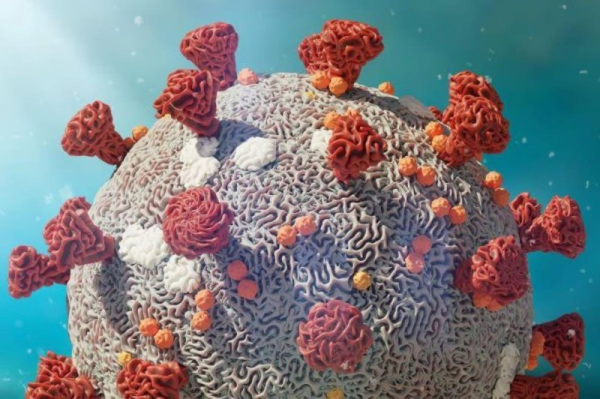 New data supports animal market origins of COVID-19 pandemic