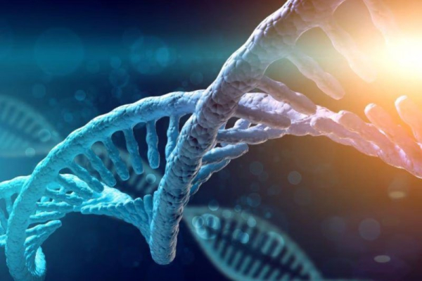 New gene therapy shows 'life-changing' promise for hemophilia B New gene therapy shows 'life-changing' promise for hemophilia B