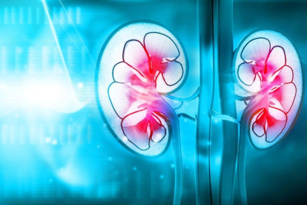 Ozempic might prevent heart trouble in people with kidney issues