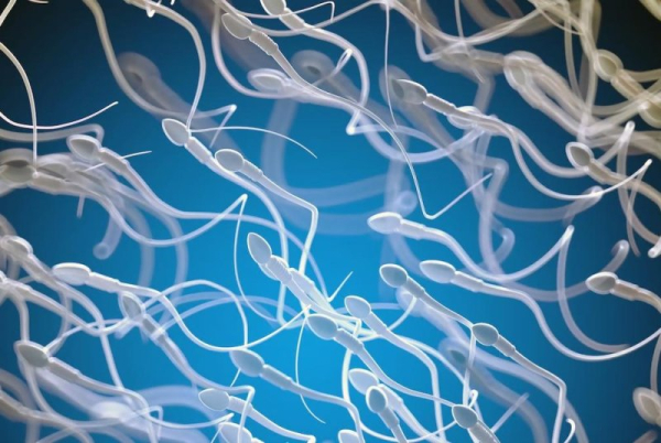 Pollution, city noise might harm fertility Pollution, city noise might harm fertility