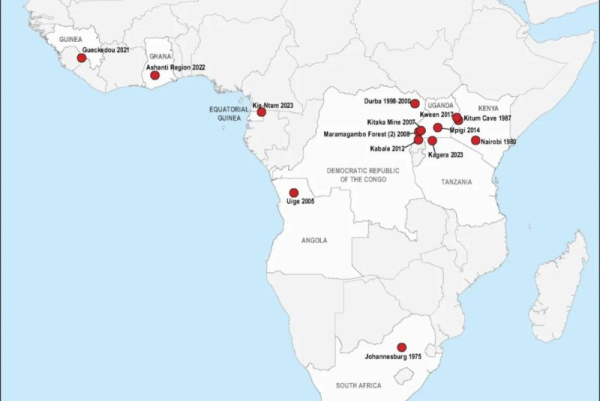U.S. CDC communicating with health authorities amid Marburg virus outbreak in Rwanda