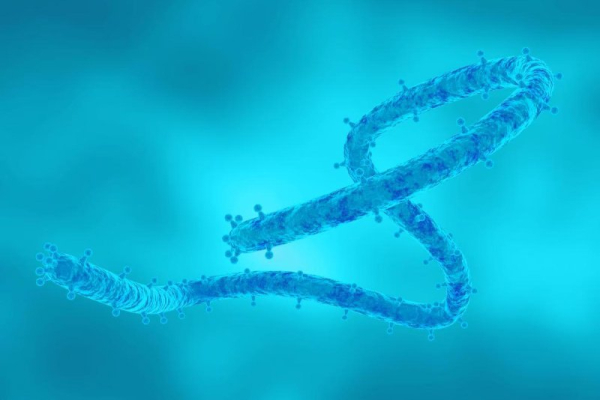 CDC to test travelers from Rwanda for Marburg virus