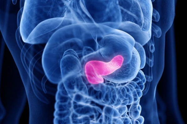 Few young people know symptoms, how to reduce risk of pancreatic cancer Few young people know symptoms, how to reduce risk of pancreatic cancer