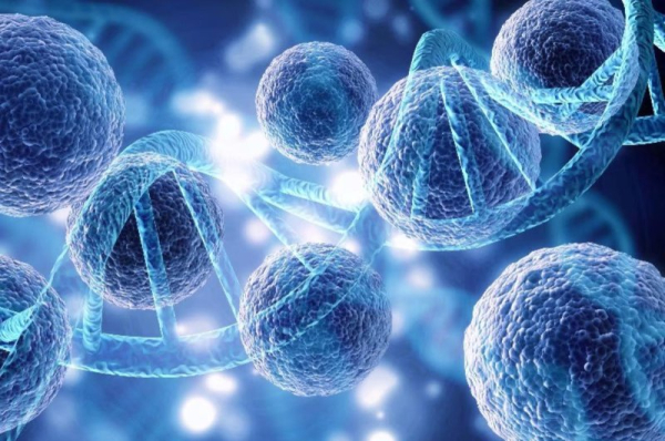 Report gives update on boys with rare brain disease 6 years after gene therapy