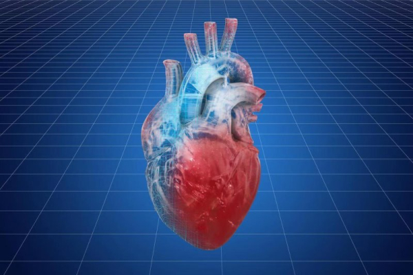Gene therapy reverses heart failure in new trials