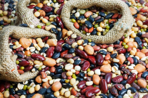Proposed USDA guidelines support beans, lentils for protein versus meat