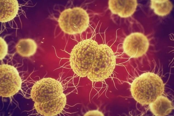 DoxyPEP cuts rate of sexually transmitted infections, study suggests DoxyPEP cuts rate of sexually transmitted infections, study suggests