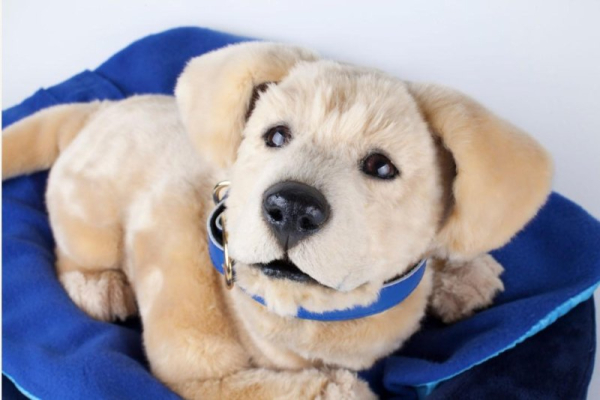 Robotic puppy, shown at electronics trade show, seen as boon for mental health Robotic puppy, shown at electronics trade show, seen as boon for mental health