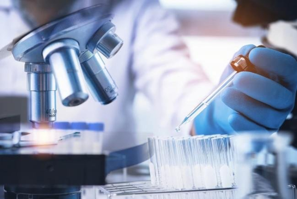 Bird flu studies delayed as White House suspends CDC reports