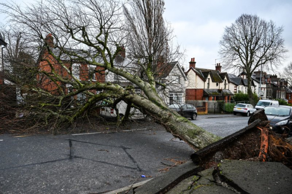 EU climate Service: Average global surface temperature hit new record high in January