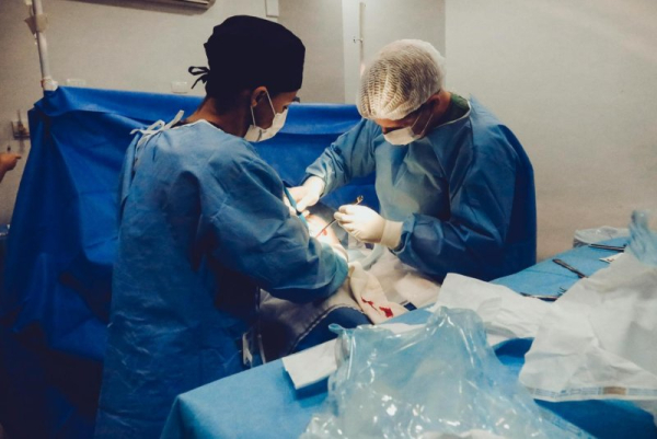 FDA OKs clinical trials for pig kidney transplants in people