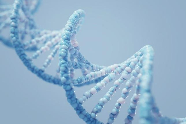 Rapid gene test can aid brain cancer surgery, researchers say